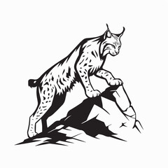 Wild Lynx on Rocky Mountain Vector Isolated on white background