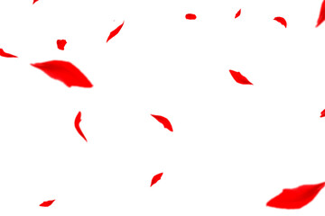 Striking autumn display featuring bold bright red leaves scattered dynamically across a pristine white background, creating a dramatic and eye-catching representation of peak fall season vibrant folia