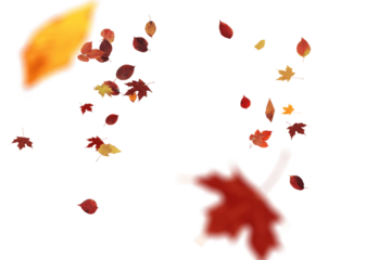 Energetic autumn scene with dynamically scattered and swirling red, yellow, and orange leaves conveying movement and the spirited essence of fall season, showcasing vibrant seasonal colors in artistic