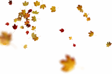 Dynamic autumn leaf composition featuring clustered and scattered golden, red, and brown fallen leaves creating a rich tapestry of fall colors, perfectly capturing the essence of seasonal change 