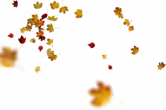 Dynamic autumn leaf composition featuring clustered and scattered golden, red, and brown fallen leaves creating a rich tapestry of fall colors, perfectly capturing the essence of seasonal change 