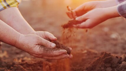 Little kid hands holding green plant in soil. persons holding abundance soil in hands for planting plant, nature and Ecology concept. Humans holding soil in the hands for planting.
