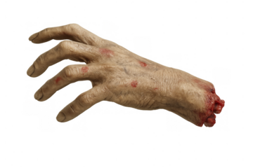 Zombie hand reaching out, severed and bloody, a halloween horror prop on transparent background