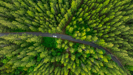 Aerial view of dark green forest road and white electric car Natural landscape and elevated roads...