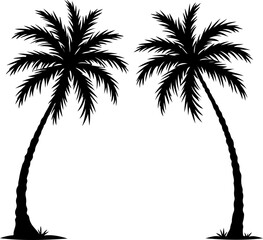 silhouette of palm trees on the beach
