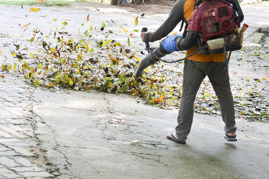 Focused worker completing seasonal chore, using powerful leaf blower for cleaning and clearing dry autumn leaves. Outdoor gardening maintenance work keeps pavement tidy - Powered by Adobe