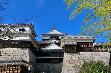松山城・天守・城郭（愛媛県・松山市）
