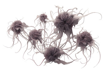 Microscopic clustered cells extend wiry tendrils