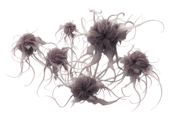 Microscopic clustered cells extend wiry tendrils