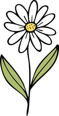 Hand Drawn Daisy Wild Flower Vector Illustration Minimal Botanical Design