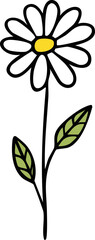 Hand Drawn Daisy Wild Flower Vector Illustration Minimal Botanical Design