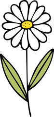 Hand Drawn Daisy Wild Flower Vector Illustration Minimal Botanical Design