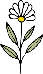 Hand Drawn Daisy Wild Flower Vector Illustration Minimal Botanical Design