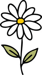 Hand Drawn Daisy Wild Flower Vector Illustration Minimal Botanical Design