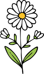 Hand Drawn Daisy Wild Flower Vector Illustration Minimal Botanical Design