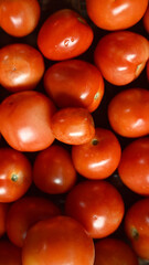 Tomata Closeup Photo for background 