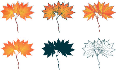 Set of hand-drawn fall colored red-yellow maple gold autumn leaves isolated on white background. Flat and line styles vector illustrations.