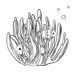Clownfish in Sea Anemone Outline Illustration