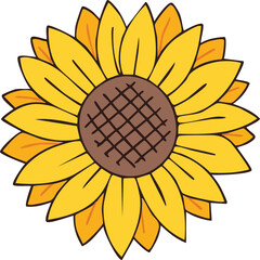 Hand Drawn Beautiful Sunflower Vector Illustration Floral Design