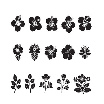 A set of joba flower vector isolated white background.