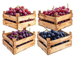 Four crates overflowing with fresh red and dark grapes