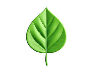 Lush green leaf with prominent veins, isolated against black