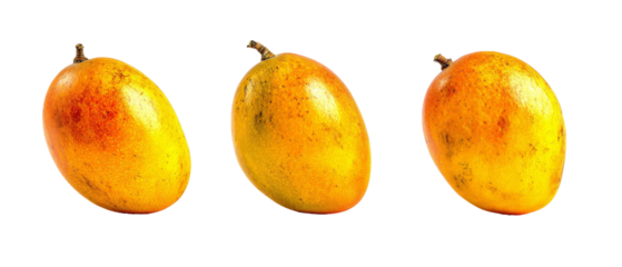 Three ripe, vibrant mangoes arranged in a row, showcasing their smooth, golden skin, with a subtle gradient of colors, set against a plain background, ideal for food-related content