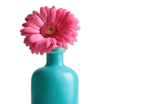 Pink gerbera daisy in a turquoise ceramic vase against black background flower bloom - Powered by Adobe