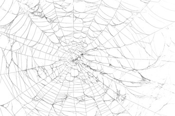 Spiderweb with intricate patterns, creating a delicate design