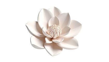 Cream flower blossom; layered, delicate, pristine beauty