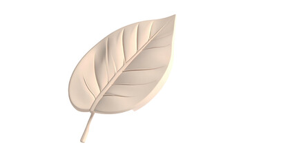 Glossy, simple stylized single leaf with center vein, isolated