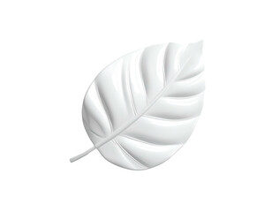Shiny, white leaf with raised veins isolated against black