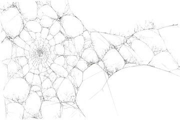 Delicate spiderweb with intricate patterns