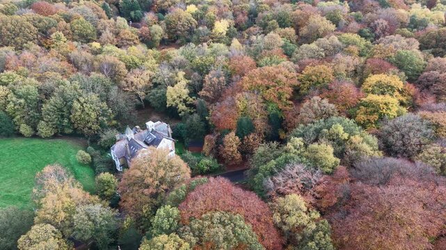 House in Epping forest drone,aerial autunm vibrate colours of trees