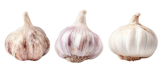 Three distinct varieties of garlic bulbs displayed side by side, showcasing their unique textures and colors against a clean background, ideal for culinary and health-related content