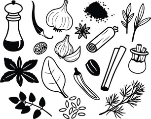 Hand drawn spice and herb icons vector pack scalable culinary ingredients for food design