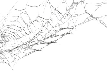 Spiderweb with intricate patterns, a delicate structure