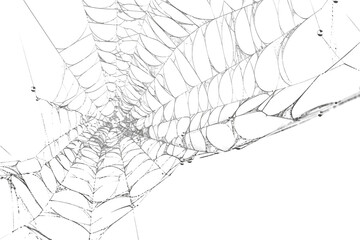 Detailed spiderweb structure in a closeup view