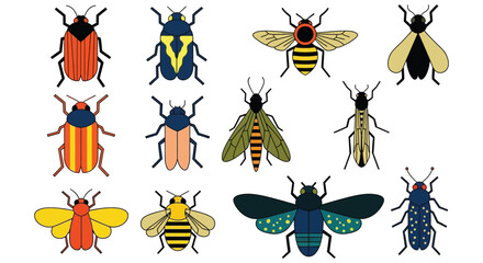 Illustration of various insects beetles and bees vector graphics vector