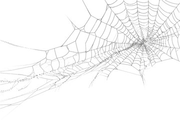 Spiderweb, a delicate and intricate natural structure