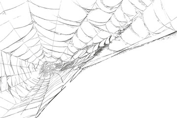 Spider weaving a delicate web, , in monochrome