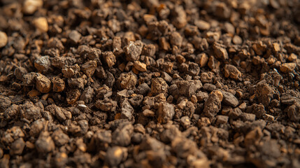 Close-up of Fertile Garden Earth with Organic Matter