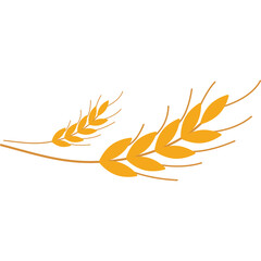 Golden Wheat Stalks Delicate Illustration on Transparent Background Natural Grain Agriculture Element