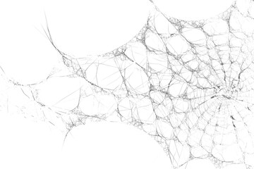 A delicate spiderweb glistens, , showcasing natures artistry