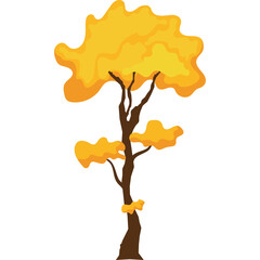 Golden yellow autumn tree with sparse leaves and a transparent background isolated on white perfect for seasonal design elements