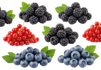 Assorted piles of glistening red currants, velvety blackberries, plump blueberries, green leaves, sharp macro focus, white background, concept of healthy organic food