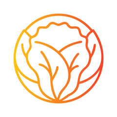 a flat gradient outline icon of cabbage head for web and graphic design.