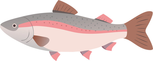 A simple cartoon illustration of a rainbow trout fish on a white