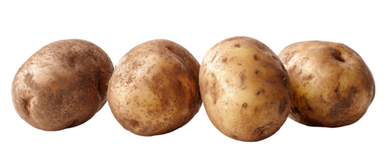 A close-up view of four rustic potatoes arranged in a row, showcasing their earthy textures and natural imperfections, set against a clean, white background ideal for culinary use