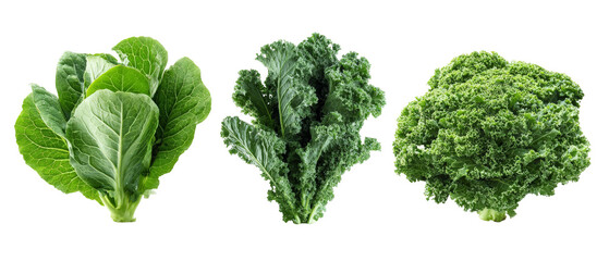 Fresh assortment of leafy greens including romaine lettuce, curly kale, and broccoli, arranged neatly against a white background, ideal for healthy eating promotions or cooking recipes